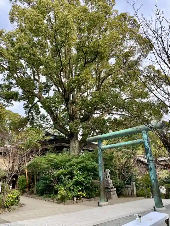 報徳二宮神社(神奈川県)
