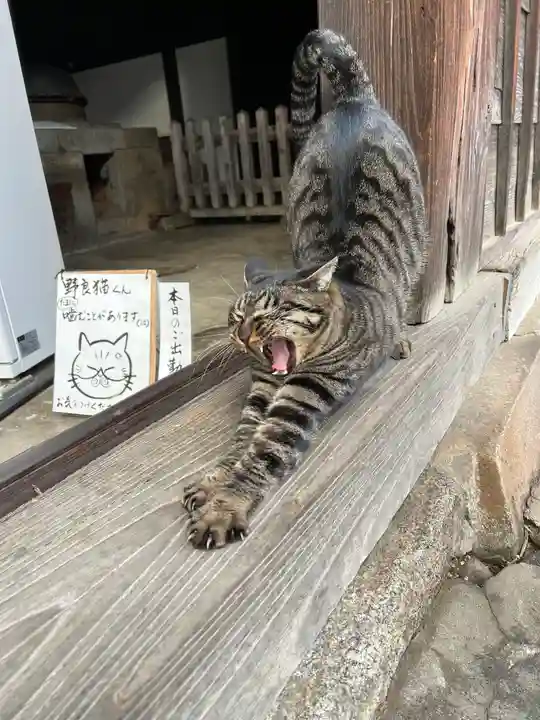 恵林寺の動物