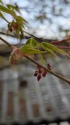 橋寺 放生院(京都府)