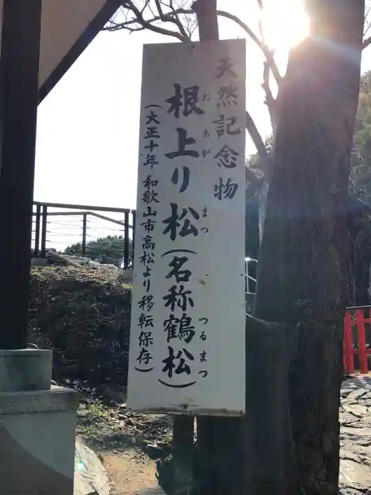 玉津島神社の自然