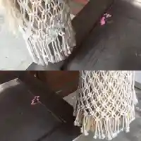 上野幌神社(北海道)