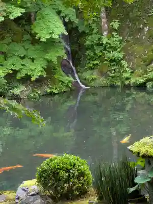 慈恩護国禅寺(岐阜県)