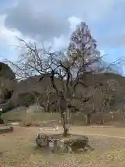 新宮八幡神社(兵庫県)