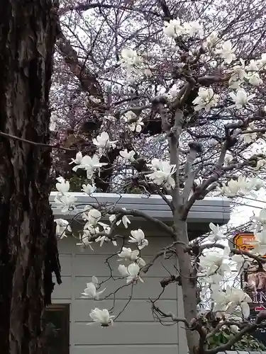 伝重寺の庭園