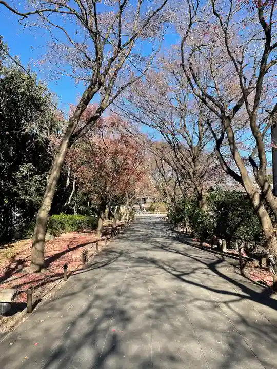 高円寺(東京都)