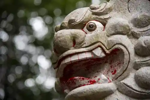 南荻窪天祖神社の狛犬