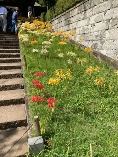 横浜　西方寺の自然