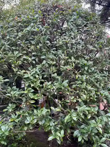 伊勢の国 四天王寺(三重県)