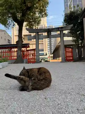 十日恵比須神社(福岡県)
