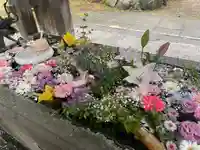 札幌護國神社の手水舎