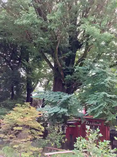 秩父神社(埼玉県)