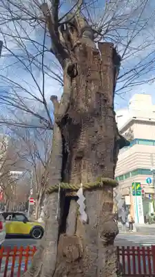 大國魂神社(東京都)