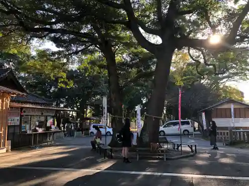 大宮・大原神社(千葉県)