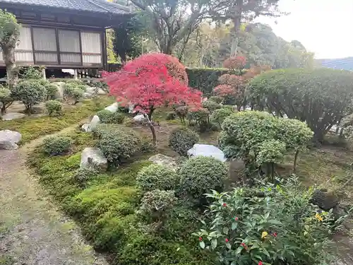 大興善寺の庭園