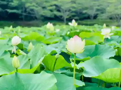 常信寺(三重県)