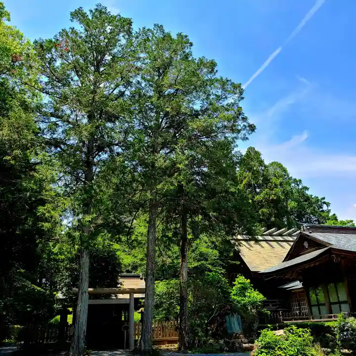 井伊谷宮(静岡県)