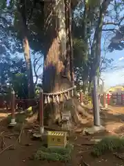 麻賀多神社奥宮(千葉県)