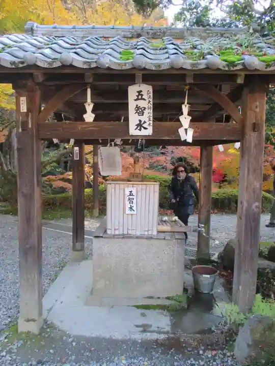 今熊野観音寺(京都府)