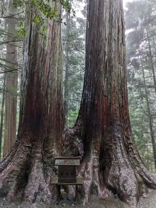 三峯神社(埼玉県)