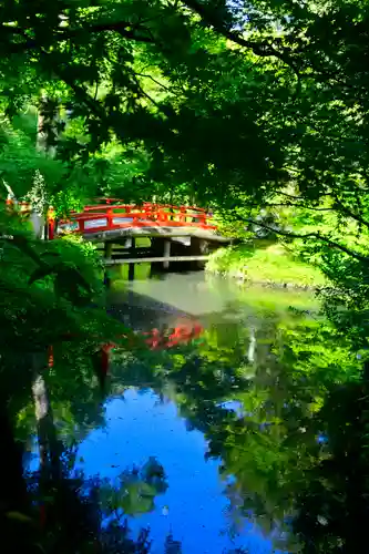 鶴岡八幡宮(神奈川県)