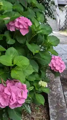 海印寺寂照院(京都府)