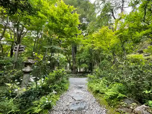 高山寺の庭園