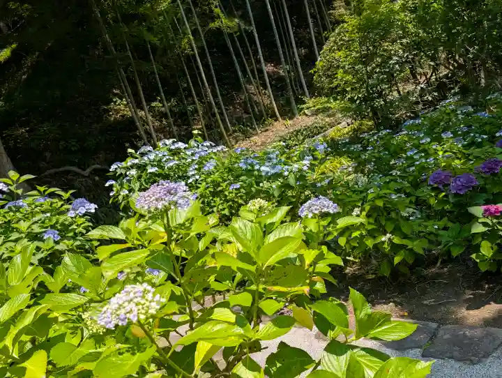 長壽寺(長寿寺)(神奈川県)