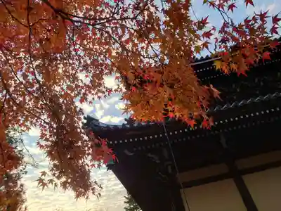 南禅寺(京都府)