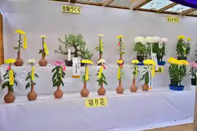 普光寺(新潟県)