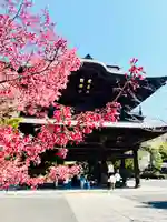 建長寺(神奈川県)