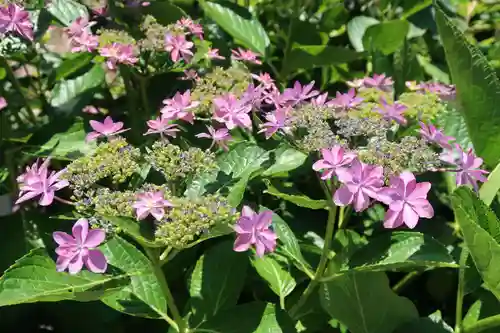 性海寺(愛知県)