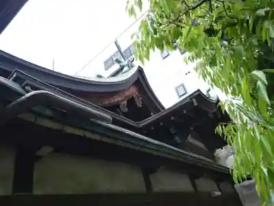 元祇園梛神社・隼神社の本殿・本堂
