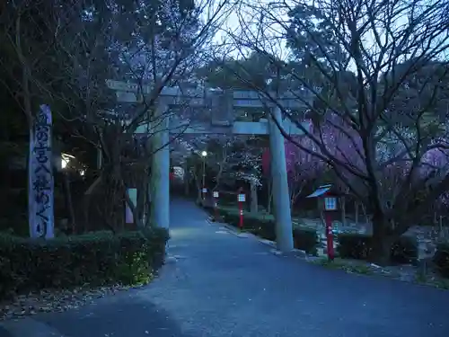 宮地嶽神社の鳥居