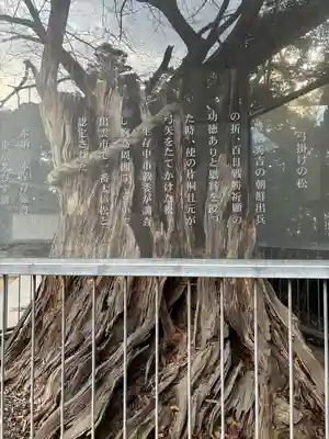 長浜神社(島根県)