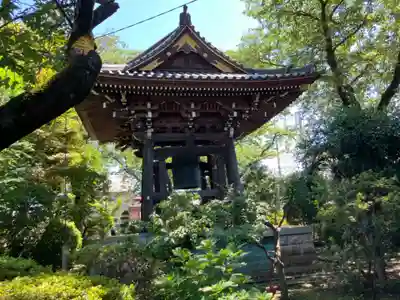 大円寺(東京都)