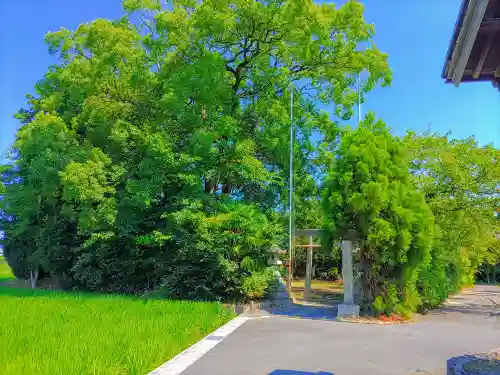 神明社（両寺内）の自然