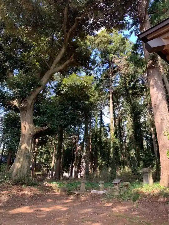 白幡神社(千葉県)