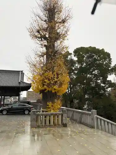 石清尾八幡宮の自然