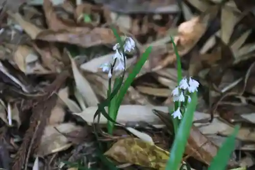 大六天麻王神社の自然