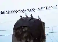 三津厳島神社(愛媛県)