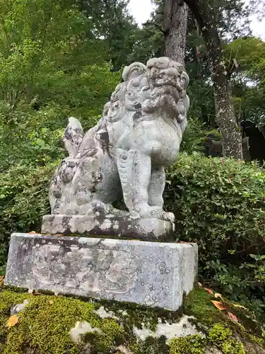 飛騨東照宮の狛犬