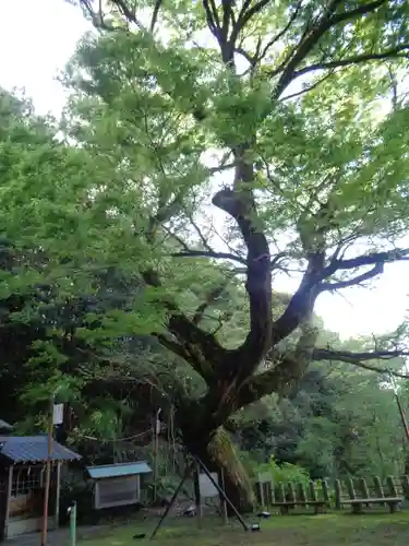 温泉神社(熊本県)