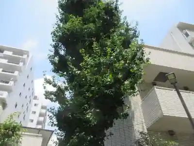 高輪神社(東京都)