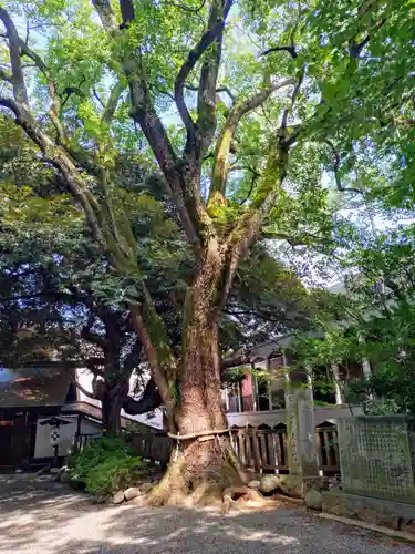 乃木神社(東京都)