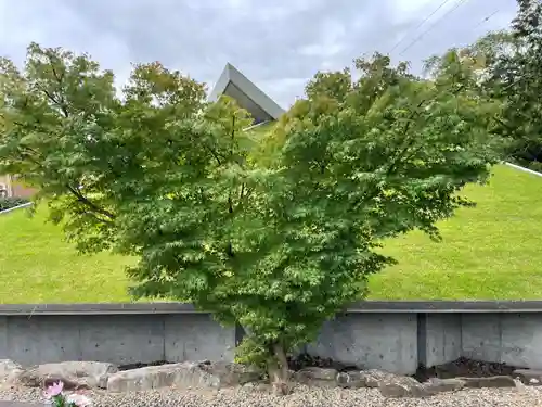 伊勢の国 四天王寺の自然