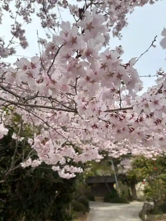 花岳寺の{uncategorized: "未分類", other: "その他", undefined: "問題あり", building: "その他建物", grave: "お墓", sacred_gate: "鳥居", guardian: "狛犬", statue: "像", buddha: "仏像", history: "歴史", nature: "自然", garden: "庭園", animal: "動物", pagoda: "塔", temizu: "手水舎", mountain_gate: "山門・神門", sanctuary: "本殿・本堂", subordinate: "末社・摂社", art: "芸術", scenery: "景色", jizo: "地蔵", ema: "絵馬", goshuin: "御朱印", omikuji: "おみくじ", items: "授与品その他", amulet: "お守り", goshuincho: "御朱印帳", eats: "食事", festival: "お祭り", votive_dance: "神楽", shichigosan: "七五三参", wedding: "結婚式", experience: "体験その他", initially: "初詣", around: "周辺", anti_infection: "感染症対策"}