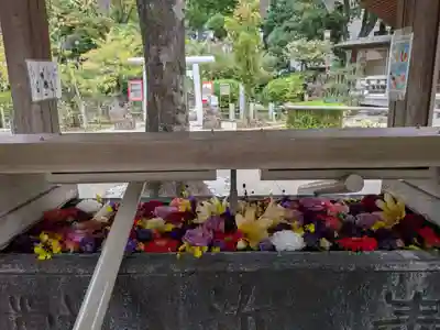 鳩森八幡神社の手水舎