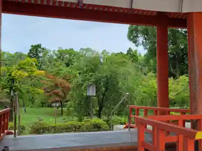 平安神宮(京都府)