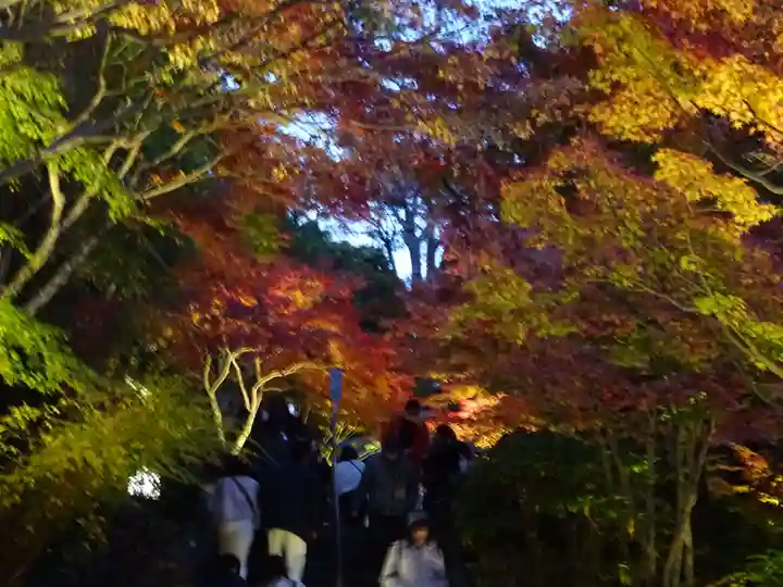 長谷寺(神奈川県)