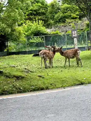 東大寺真言院(奈良県)